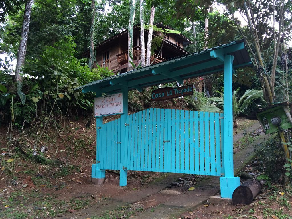 Villa Casa De La Trepada Cocles Zimmer foto